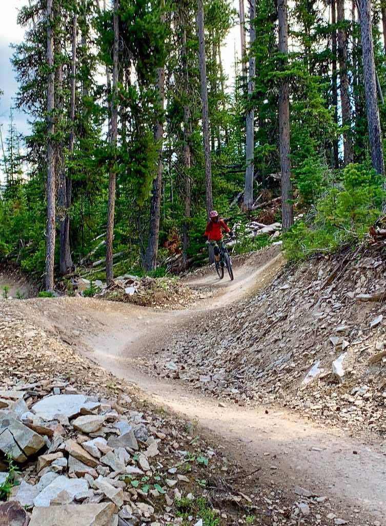 Beginner mountain bike store trails